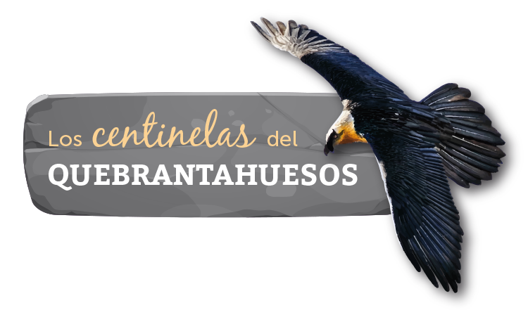 Los centinelas del Quebrantahuesos Los centinelas del Quebrantahuesos