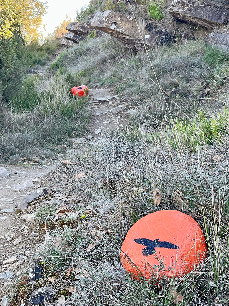 Piedras de señalización
