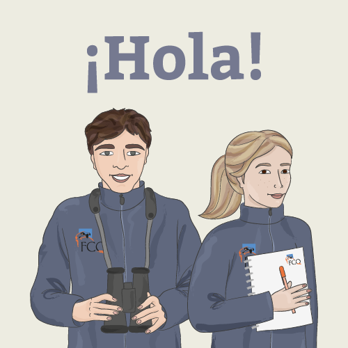 ¡Hola!