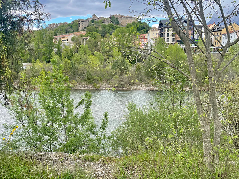 Panel «Los ríos como corredores ecológicos»