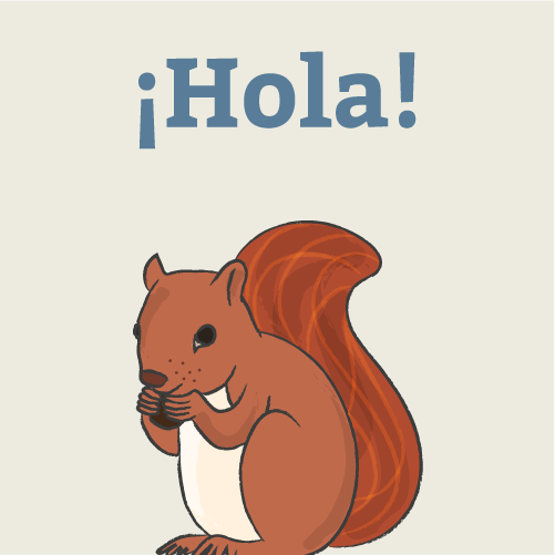 ¡Hola!