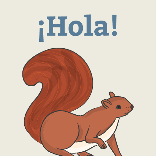 ¡Hola!