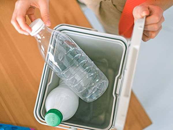 Plantación ecológica de manzanos