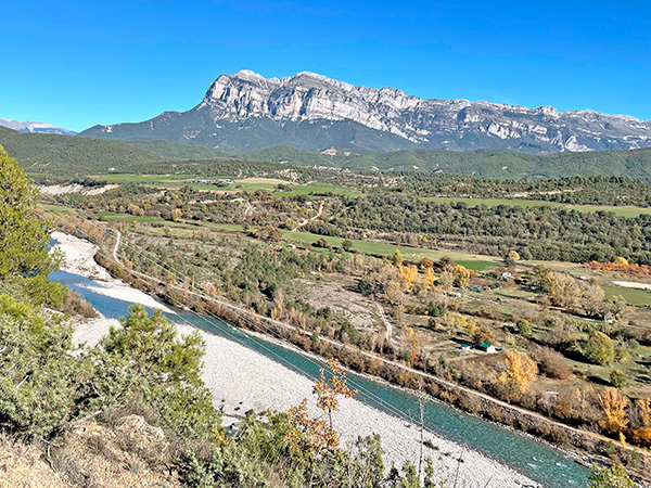 Plantación ecológica de manzanos