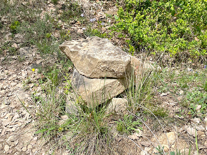 Hitos y marcaje de caminos