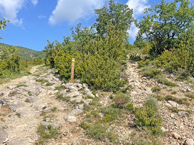 Bifurcación hacia el Tozal de Surta