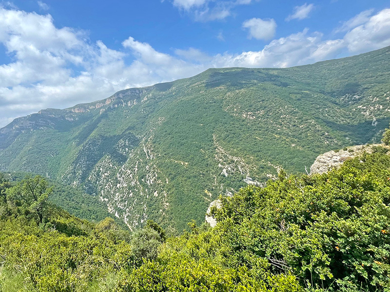 Hayedos meridionales del cañón del río Balcés