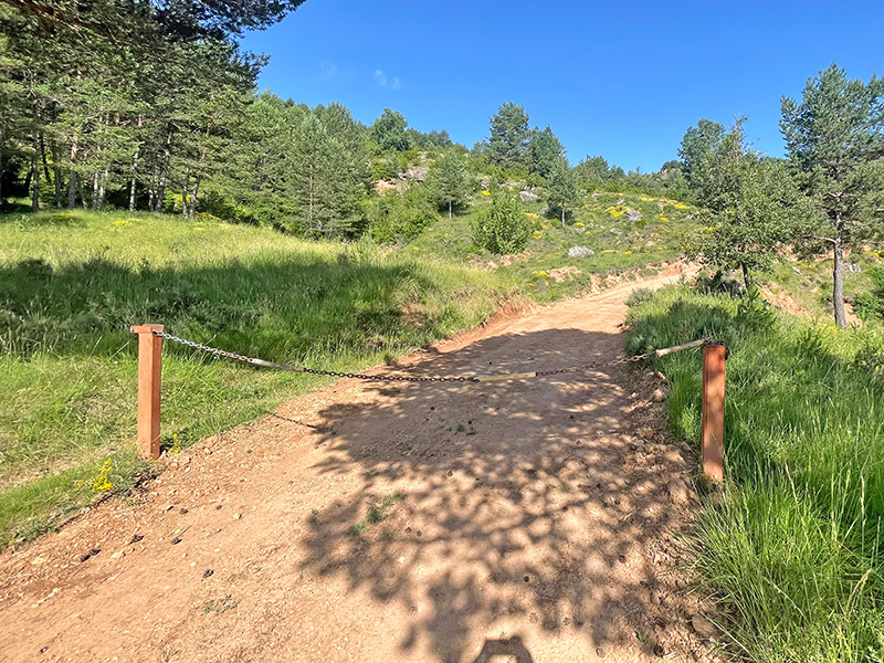 Barrera de la pista forestal
