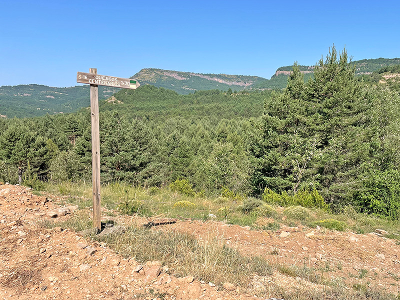 Inicio del Sendero de los Quejigos Centenarios